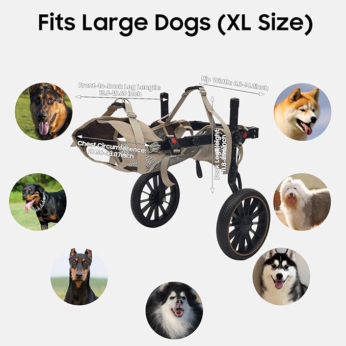 Adjustable Large Dog Wheelchair for Hind Legs | Rehabilitation Walking Aid with Harness & Large Wheels for Disabled & Senior Dogs, Up to 65kg/143lbs