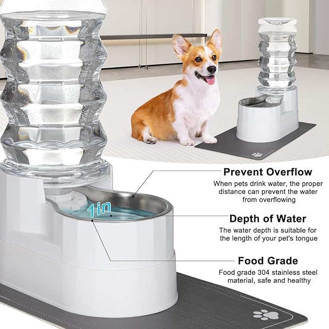 RIZZARI 9L Water Dispenser for Dogs: Ion Exchange System with Activated Carbon - Helps Prevent Urinary Stones - Supports Spinal Health in Senior Dogs - Automatic Stainless Steel Pet Feeder for Garage