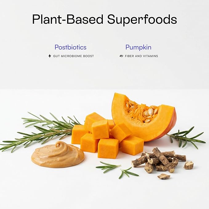 Pawco Magic Bar Gut Health Treat – High Protein Peanut Butter Dog Biscuit – 8-Pack – Healthy Snack Made with Natural Ingredients: Peanut Butter, Pumpkin, Sweet Potato, and Apples