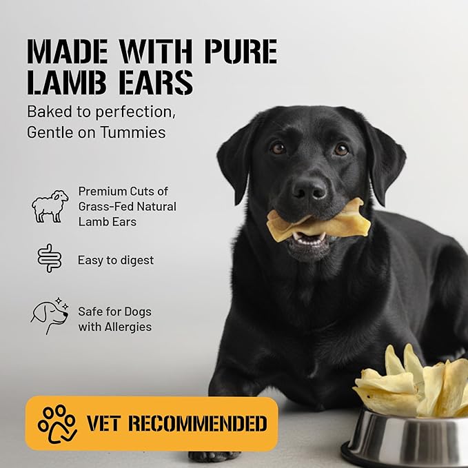 Dog Chits Lamb Ears for Dogs – 100% Natural Baked Lamb Ear Dog Treats – Grain-Free, High Protein, Lower Fat Training Chews – Dental Health & Joint Support – for Large, Medium Dogs – 25 Pack