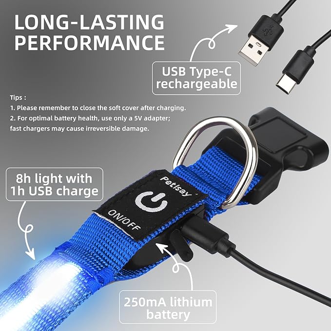 LED Dog Collar for XSmall Dogs & Toy Breeds – USB-C Rechargeable Light Up Dog Collar, Fully Waterproof Adjustable Glow Collar for Night Walking & Safety(Blue,XS)