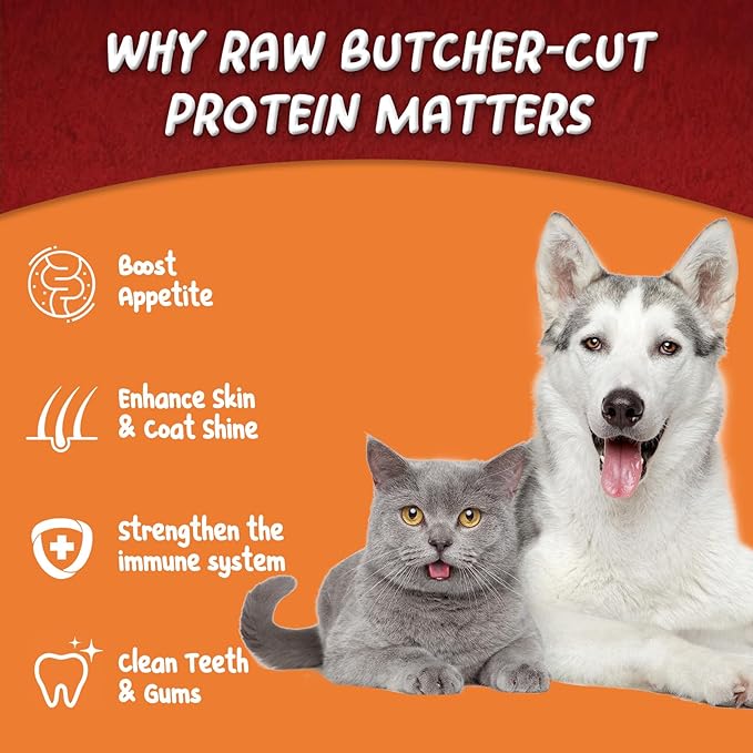 Freeze-Dried Raw Minnows Dog Treats, Single Ingredient Wild-Caught Human Grade Fish, High-Protein Training Rewards & Meal Toppers, Bulk Pack for Multi-Pet Homes (5.3 Ounce)