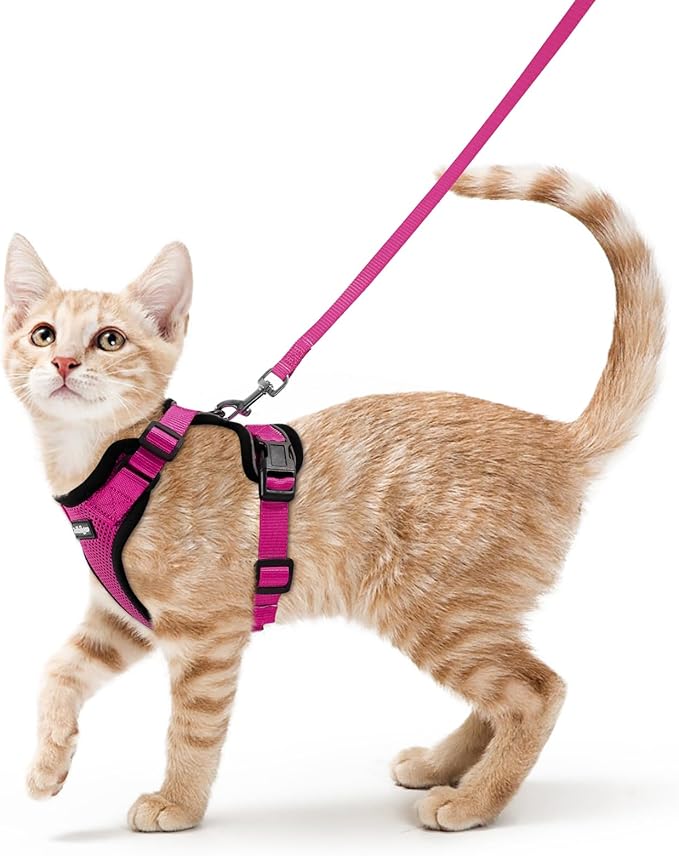 rabbitgoo Cat Harness and Leash for Walking, Escape Proof Soft Adjustable Vest Harnesses for Cats, Easy Control Breathable Reflective Strips Jacket, Rose Red, XS