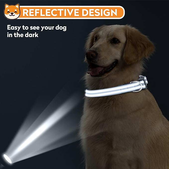 Reflective Dog Collar, Adjustable Soft Neoprene Padded Nylon Pet Collars with Buckle for Small Dogs, Gray,S