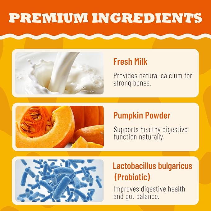 14.1oz Pumpkin Cheese Dog Treats - High-Protein Cheese Treats for Digestive Health & Calcium Support - Natural Chewy Puppy Training Snacks