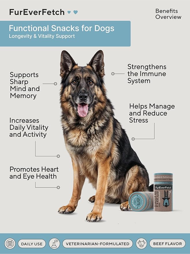 Senior Dogs Cognitive Support | Premium Canine Longevity Stack | Lion's Mane, Turkey Tail & Phosphatidylserine | Biohacking Brain Health Formula | Beef Flavor