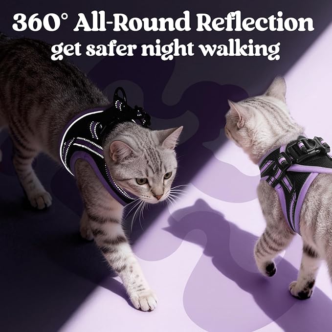 rabbitgoo Cat Harness and Leash Set for Walking Escape Proof, Adjustable Soft Kittens Vest with Reflective Strip for Cats, Comfortable Outdoor Vest, Black & Light Purple, S