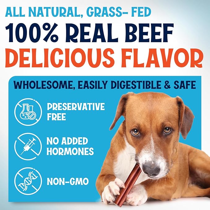 Odor-Free Thin Bully Sticks (12 Inch, 10 Pack), 9 Ounce Bag, Fully Digestible 100% Beef Pizzle Chews, Grass-Fed, Non-GMO, Grain-Free, Natural Long-Lasting Chews for Small & Large Dogs
