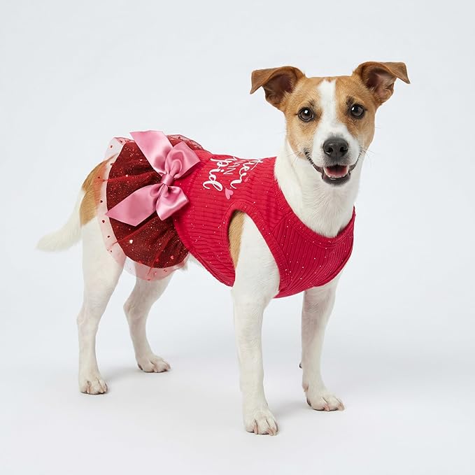 Fitwarm Cuter Than Cupid Dog Tulle Dress, Cute Girl Dog Clothes, Funny Pet Apparel, Burgundy Red, Medium