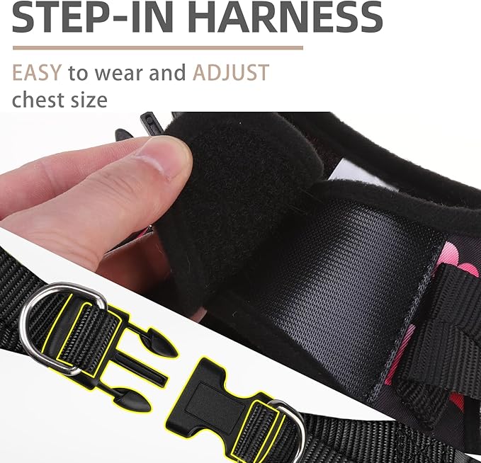 PUPTECK Dog Harness and Leash Set for Small Medium Dogs No Pull Step-in Soft Mesh Puppy Cat Vest Valentine Harnesses Reflective at Night, Black&Pink Heart, XS