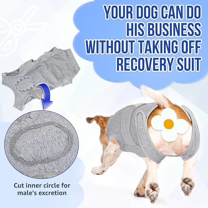 SlowTon Dog Surgery Recovery Suit - Zipper On Dog Onesies After Surgery for Female Male Dogs, Abdominal Wounds Bandages Cone/E-Collar Alternative Body Suit Shirt (Grey, M)