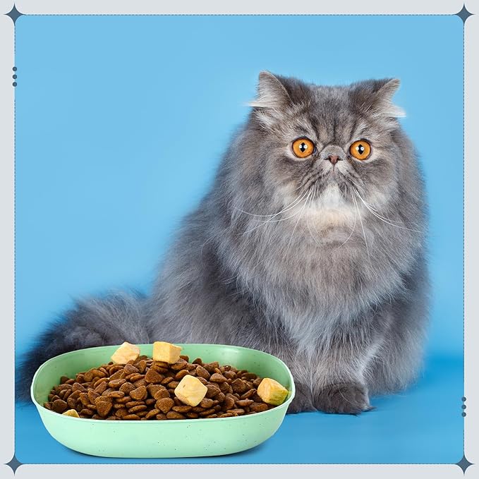 Tioncy 24 Pcs Fatigue Relief Cat Bowl 5.7 Inch Shallow Cat Food Dish Wide and Small Pet Wet Feeding Bowl for Kitten Short Legged Kitten Ferrets Feral Small Animals(Blue, Green, Pink, Beige,Classic)