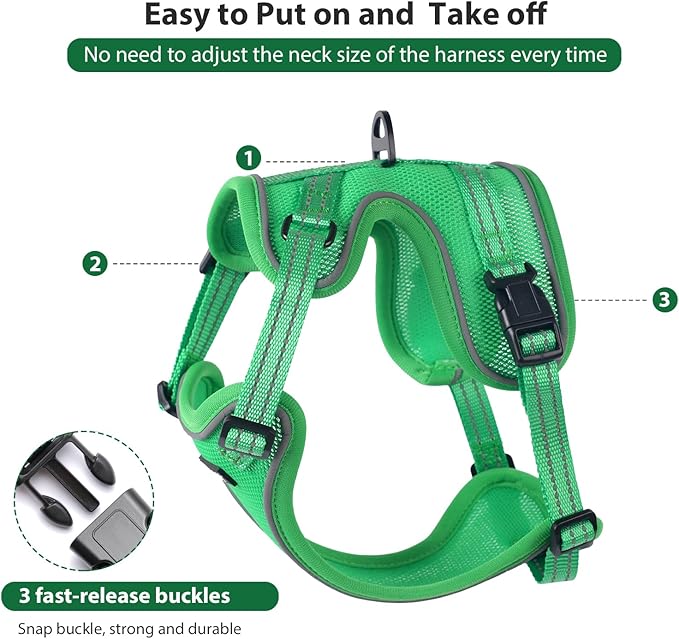 Rttochfy Cat Harness and Leash Set, Adjustable and Reflective Cat Vest, Escape Proof Kitten Harness, Easy to Put on with 3 Buckles for Cats Walking and Traveling (Light Green, S)