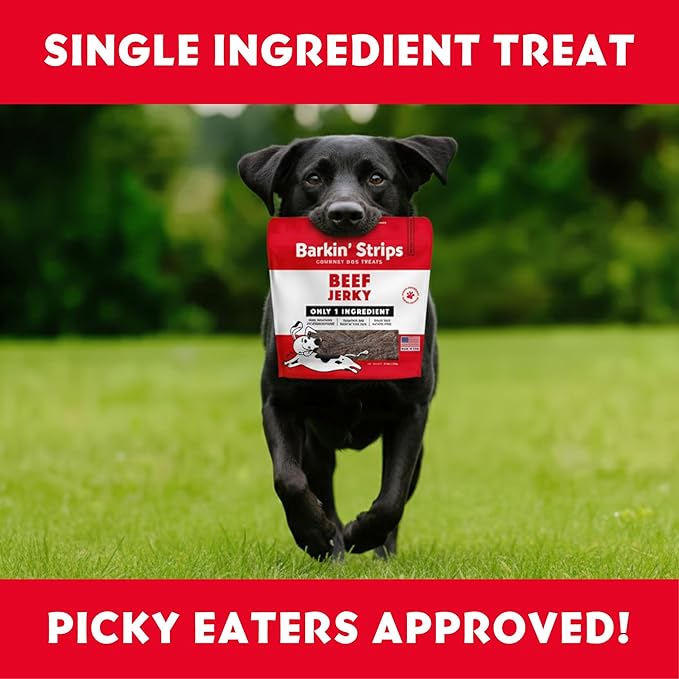 Barkin Burger Strips Made of only Beef Jerky Grain-Free Dog Treats 12 oz Pack - Premium One-Ingredient, All-Natural, Low-Fat, Lean Protein Jerky Treats for Dogs and Breeds