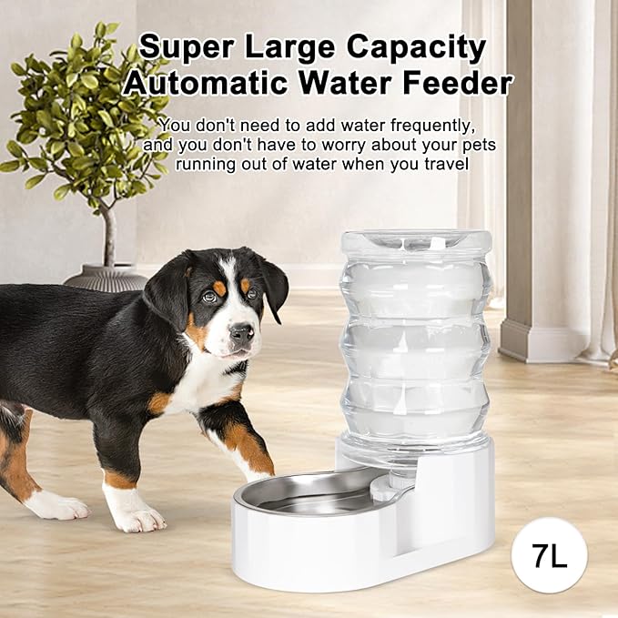 RIZZARI Automatic Gravity Pet Dispenser: Helps Prevent Urinary Stones - Activated Carbon Ion Exchange System - 6.5L Large Capacity Stainless Steel-Ideal for Cats & Small Dogs-All-Day Hydration at Home