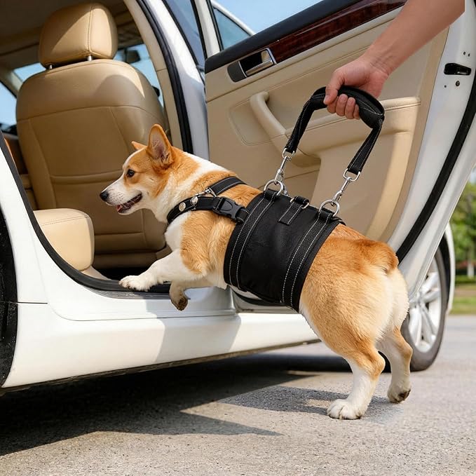 CWV Adjustable All Dog Lift Harness for Large Dogs, Soft and Portable Dog Dling for Large Dogs Hind Leg Support, Help em up Harness for Senior, Injured, Disabled and After Surgery Dogs, Small