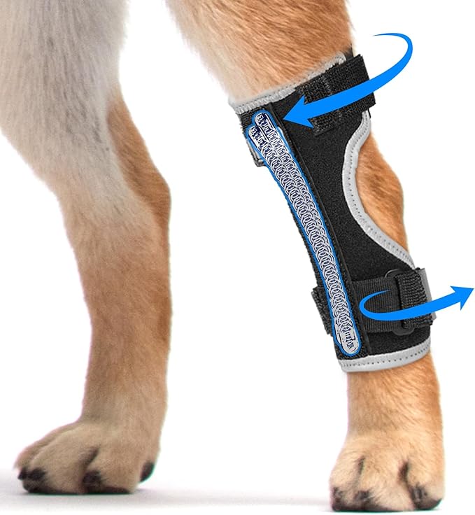 Supet Dog Leg Brace for Back Leg - Hock & Ankle Joint Support for Rear Legs with 2 Metal Springs, Anti-Slip Design & Reflective Trim for Sprain, Arthritis, Injury & Wound Recovery (Black, L)