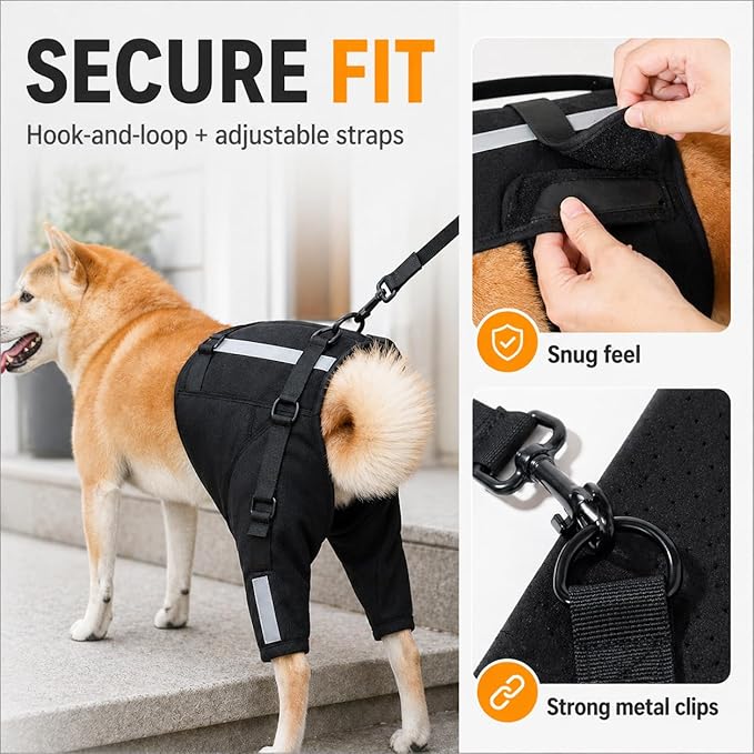 Dog Rear Leg Support Harness, Breathable Lift Assist for Large Dogs, Reflective Strips, Padded Handle for Stairs, Car Entry & Night Walks(XL)