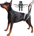 Dog Lift Harness – Adjustable Hind Leg Support Sling for Medium & Large Dogs, Soft Padded Mobility Aid for Senior, Injured & Arthritic Dogs