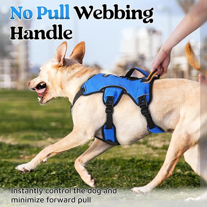 rabbitgoo Escape Proof Dog Harness, Soft Padded Full Body Pet Harness, Reflective Adjustable No Pull Vest with Lift Handle and Leash Clip for Large Dogs Walking Hiking Training, M, Blue
