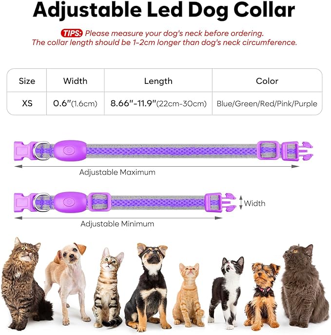 Flashseen LED Dog Collar, Light Up Dog Collar USB Rechargeable, Brightest Dog Lights for Night Walking, Adjustable Dog Collar Light for Dog Safety (Purple, X-Small)