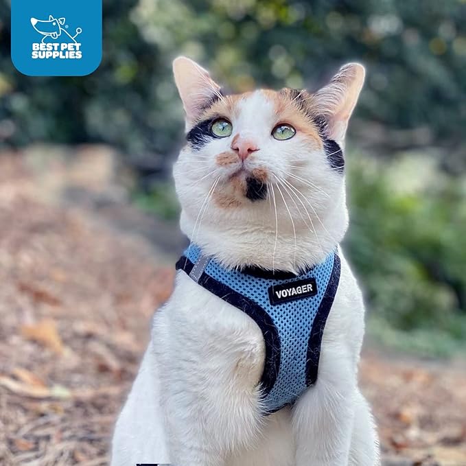 Best Pet Supplies Voyager Step-in Air Harness - All Weather Mesh, Reflective, No Pull Harness for Dogs, Cats - Secure with Hook & Loop Fastener, Buckle, Double D-Rings - Baby Blue/Black Trim, XXS