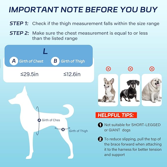 Dog Knee Brace for Torn ACL Hind Leg, Dog Leg Brace Helps with Pain from Torn CCL, Luxating Patella, Ligament Injuries, L