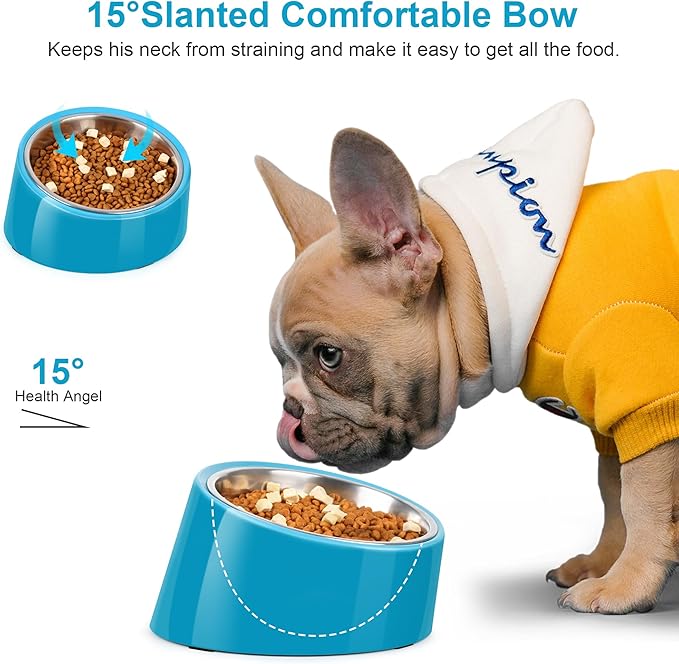 Tilted Dog Bowl Non-Slip & Non-Spill Pet Feeder with Elevated Detachable Melamine Stand, Easy to Get Food Dog Dish, L/300ml Blue