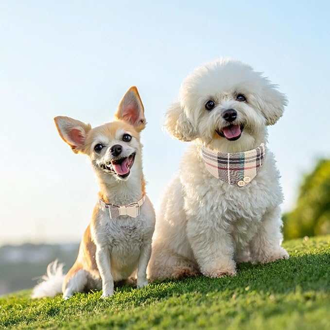 EXPAWLORER Dog Collar and Bandana Set - Classic Plaid Dog Bow Tie and Bandana Collar with PU Leather, Adjustable Collars for Small Medium Large Dogs Cats, Holiday Ideal Gift, Beige SM