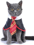 Halloween Cat Costume Small Dog Wizard Pet Clothes Cute Apparel Puppy Shirts with Glasses (Large)