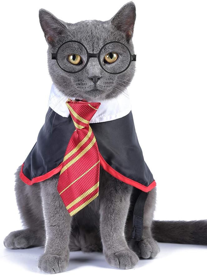 Halloween Cat Costume Small Dog Wizard Pet Clothes Cute Apparel Puppy Shirts with Glasses (Large)