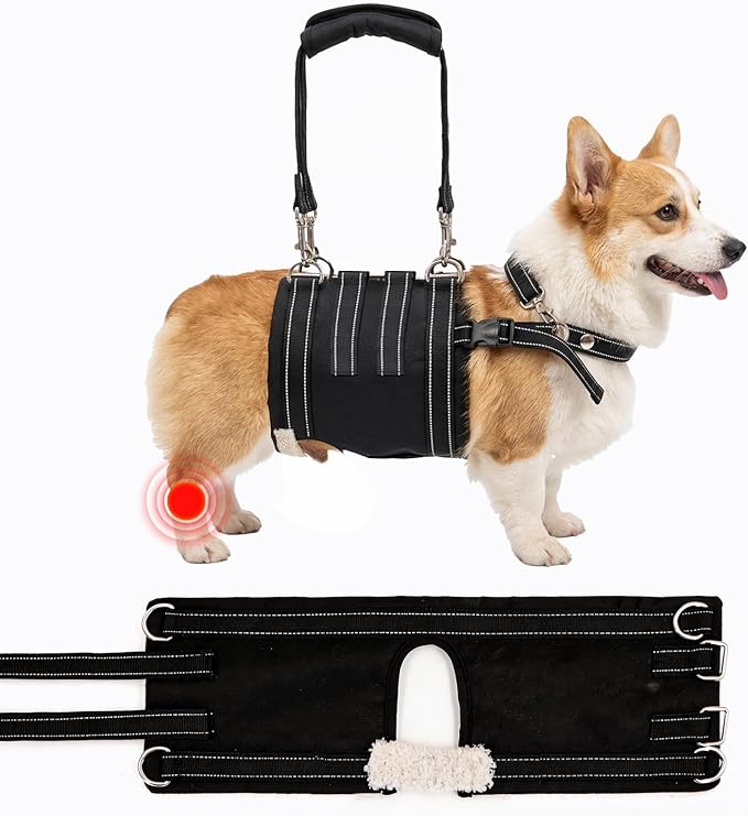 CWV Adjustable Dog Lift Harness for Large Dogs, Soft and Portable Dog Dling for Large Dogs Hind Leg Support, Help em up Harness for Senior, Injured, Disabled and After Surgery Male Dogs, Medium