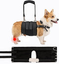 CWV Adjustable Dog Lift Harness for Large Dogs, Soft and Portable Dog Dling for Large Dogs Hind Leg Support, Help em up Harness for Senior, Injured, Disabled and After Surgery Male Dogs, Medium