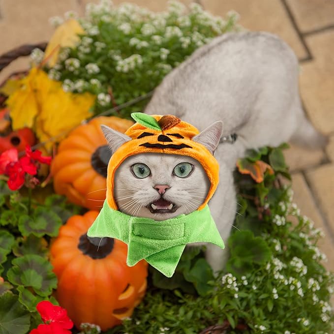 Xuniea 2 Pieces Halloween Pumpkin Cat Hat - Adjustable Pumpkin Cat Costume Cap for Pet Cats and Kittens