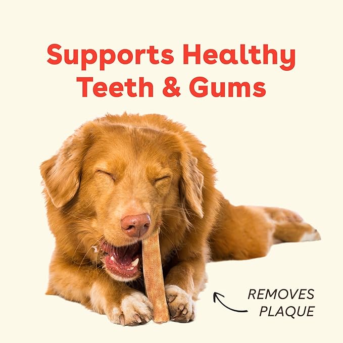 Pupford Yak Cheese Chews for Dogs & Teething Puppies, Natural, Long-Lasting Himalayan Dental Treats (Single Pack Medium)