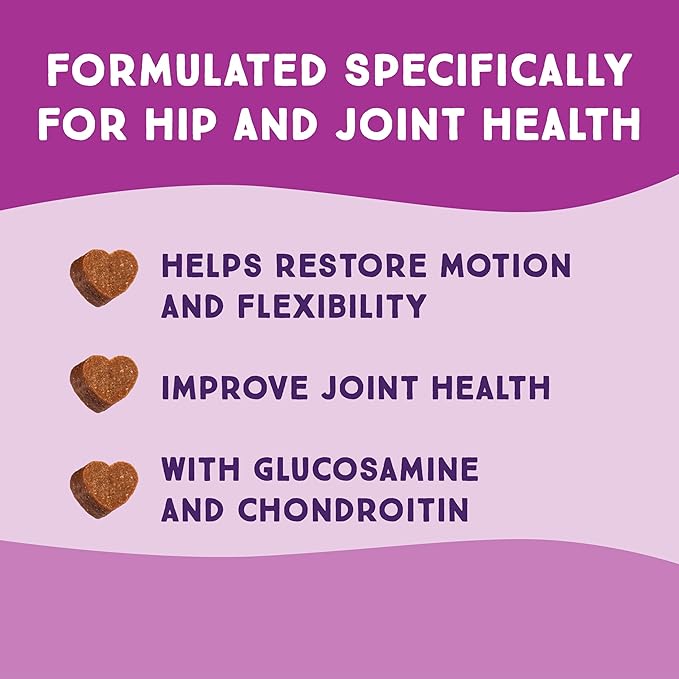 SuchGood Hip and Joint + Skin and Coat Dog Treats - Support Chews for All Breed Sizes and Ages, Glucosamine and Chondroitin + Salmon and Flaxseed Oil (Chicken Flavor, 2 Packs)