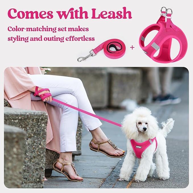 rabbitgoo Dog Harness Small Medium Sized and Leash Set, Step in Soft Light Puppy Vest, Breathable Mesh Pet Harness, Reflective for Safe Easy Walking, Rosa Red XL