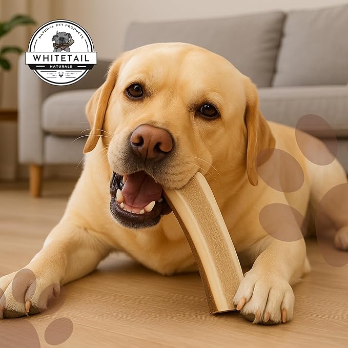 Whitetail Naturals Split Elk Antlers for Dogs (1 lb Bulk Pack) Premium Antler Chews for Medium to Large Dogs – Grade A, Wild Sourced & Naturally Shed (Approx. 4-5 Count)
