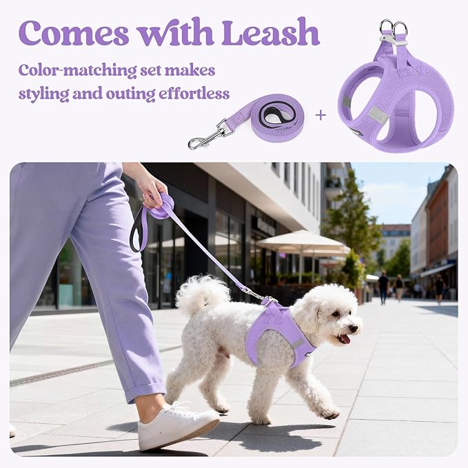 rabbitgoo Dog Harness Small Sized and Leash Set, Step in Soft Light Puppy Vest, Breathable Mesh Pet Harness, Reflective for Safe Easy Walking, Light Purple XXS