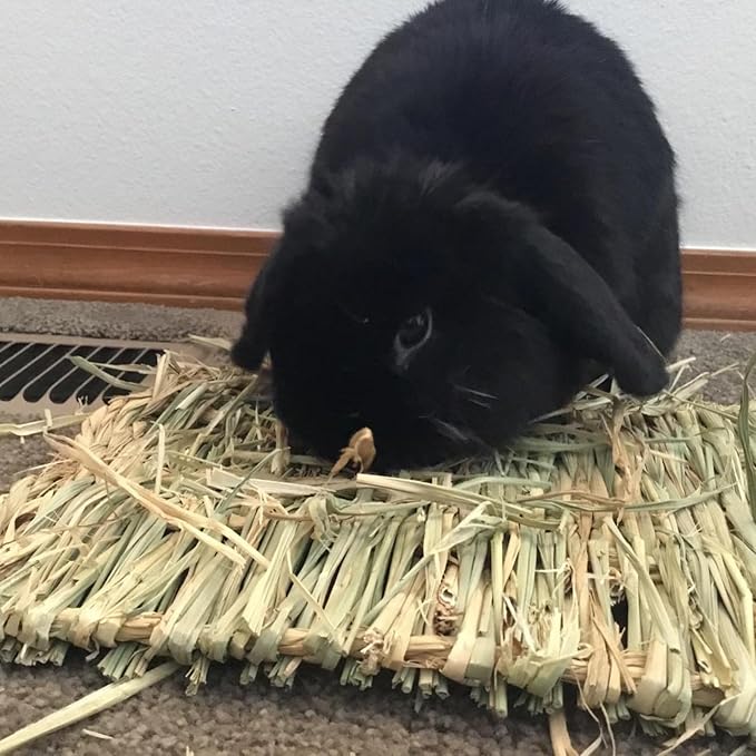 PINVNBY Straw Mats for Rabbits,11.0"x8.3" Natural Bunny Grass Mat,Handwoven Rabbit Hay Mat Small Animal Bedding Chewable & Cooling Mat - Eco-Friendly Cage Liner Nesting Toy(4 PCS)
