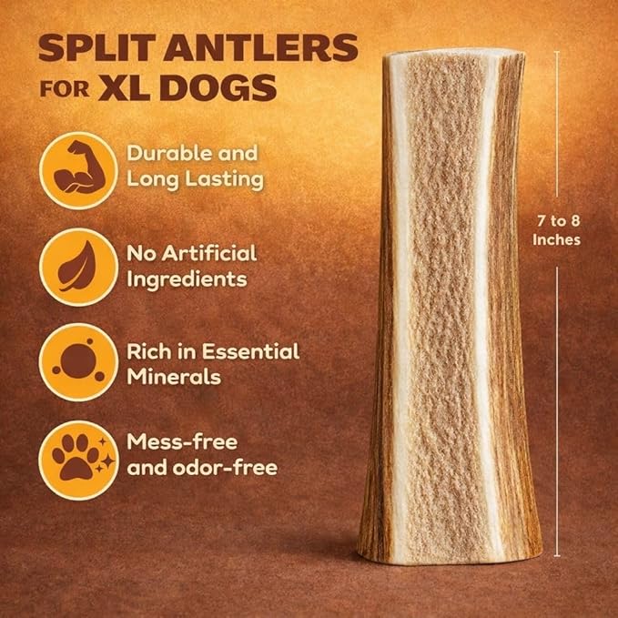 WhiteTail Naturals Split Elk Antlers for Extra Large Dogs (2 Pack - XL) Big Antler Chews - Naturally Shed Elk Horns - Tough Dog Bones for Power Chewers