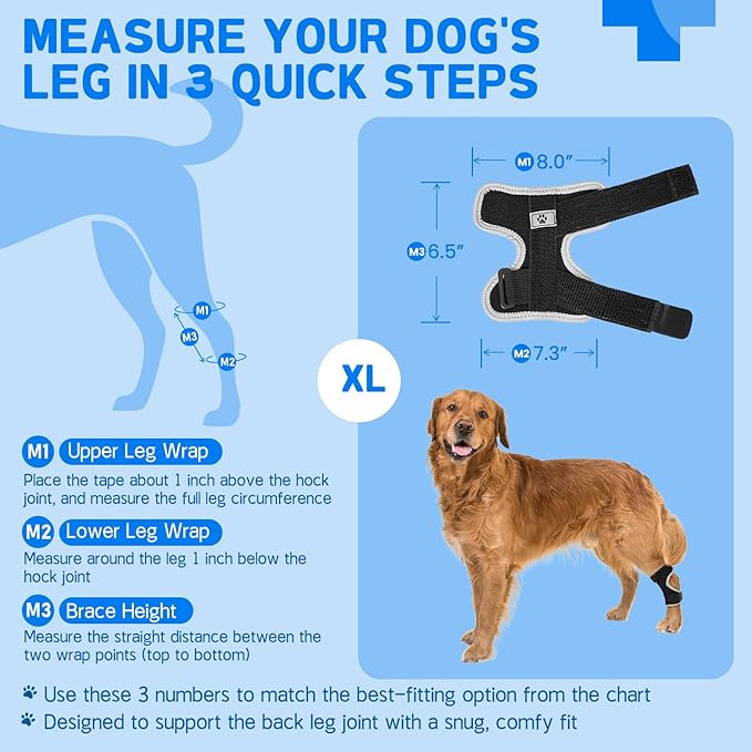 Dog Leg Brace Canine Rear Leg Support, Relieve Pain from Sprains, Arthritis, Enhancing Stability, Helps with Loss of Stability from Arthritis(Black,XL)