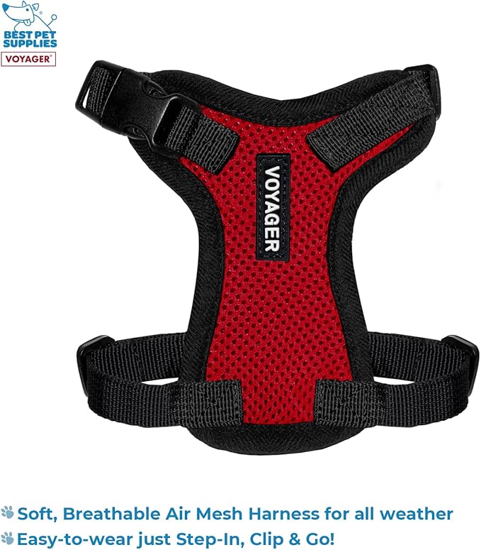 Best Pet Supplies Voyager Step-in Lock Pet Harness w Reflective Pet Leash Combo Set with Neoprene Handle 5ft - Supports Small, Medium and Large Breed Puppies/Cats - Red/Black Trim Set, XXXS