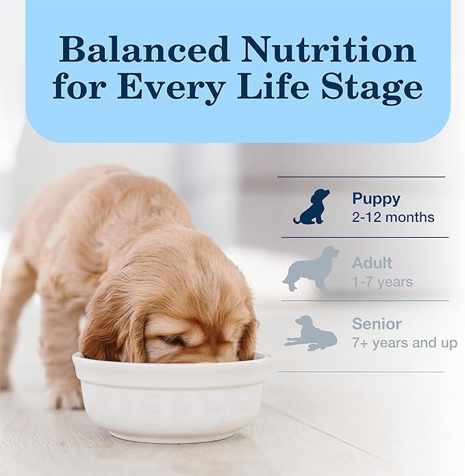 Blue Buffalo Homestyle Recipe Puppy Wet Dog Food, Made with Natural Ingredients, Chicken Dinner with Garden Vegetables & Brown Rice, 12.5-oz Cans, 12 Count (Pack of 2)