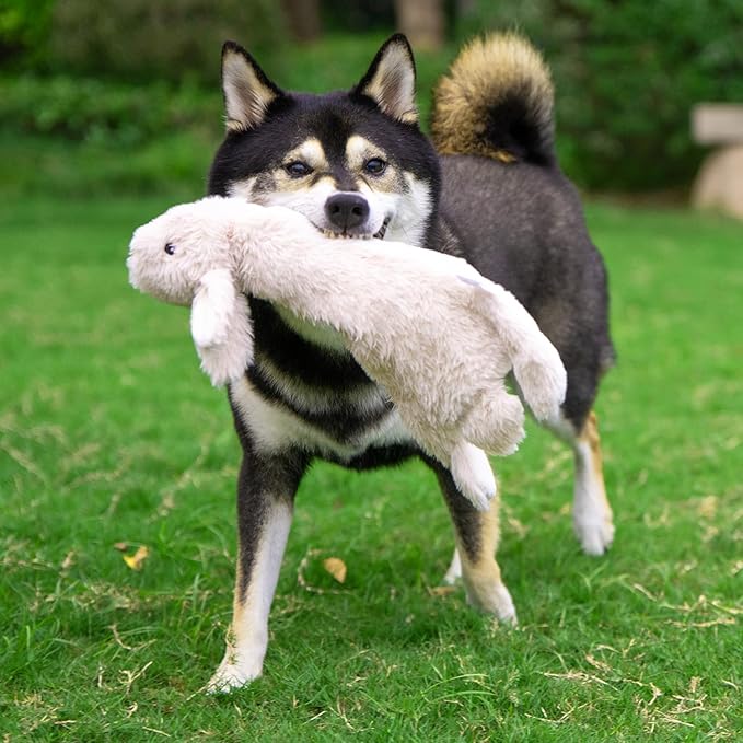 Best Pet Supplies Squeaky Dog Toys with Soft Durable Fabric for Small, Medium and Large Pets Interactive Toy for Indoor Play, Supports Active Biting and Play - Hare, Large