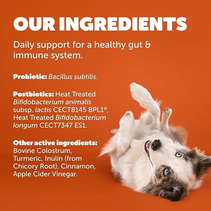 Protexin Daily Care Gut+ Immunity | 60 Dog Chews, Turkey and Cranberry Flavor Dog Supplement | Probiotics for Dogs, Dog Postbiotics