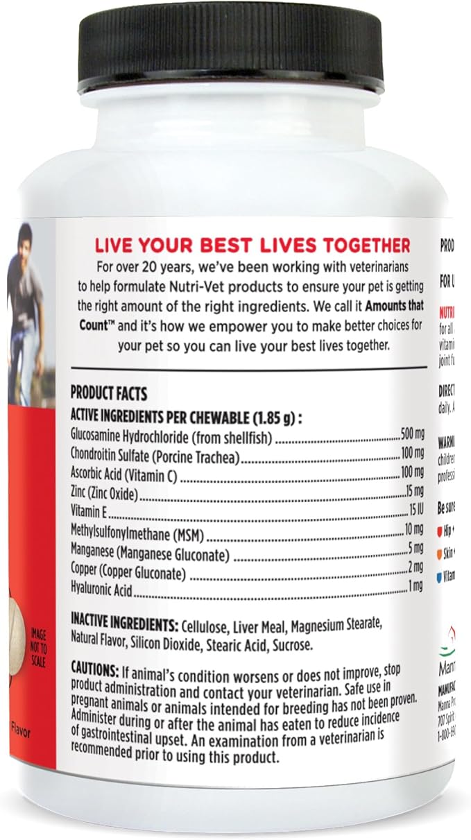 Nutri-Vet Hip & Joint Regular Strength Chewable Dog Supplements, Formulated with Glucosamine Chondroitin, Pet Supplies, Joint Supplement for Dogs, Pet Care, Puppy Essentials, 120 Count