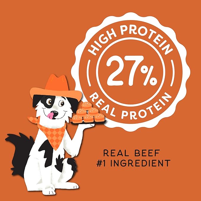 CHAMPS Soft Dog Treats for Digestive Support/Gut Health & Training Snacks Made with Pumpkin, Oat Fiber & Vinegar - Beef Sliders - 16 oz