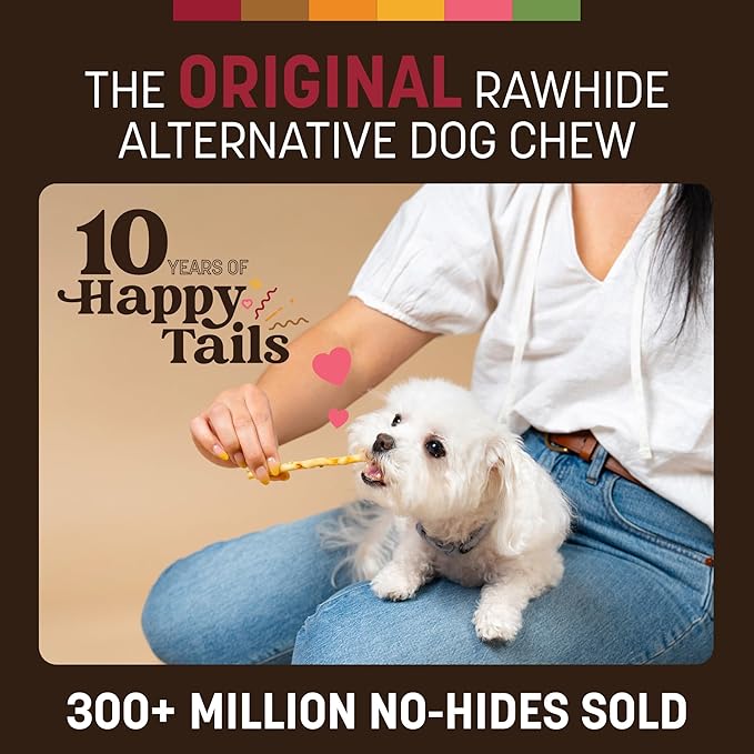 Earth Animal No Hide Stix - Long Lasting Rawhide Free Small Dog Chews Sticks, Beef - 80 Count Extra Value Pack
