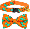 Breakaway Cat Collar Bowtie Bell, Orange Dinosaur T-rax, Wedding/Birthday Gift for Kitten